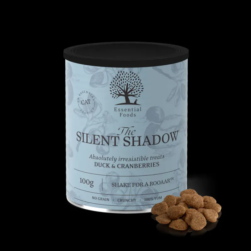THE SILENT SHADOW