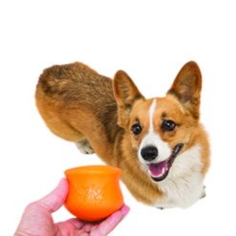 Toppl Treat Toy