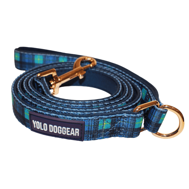 Hovedbilde BLÅ TARTAN HUNDEBÅND