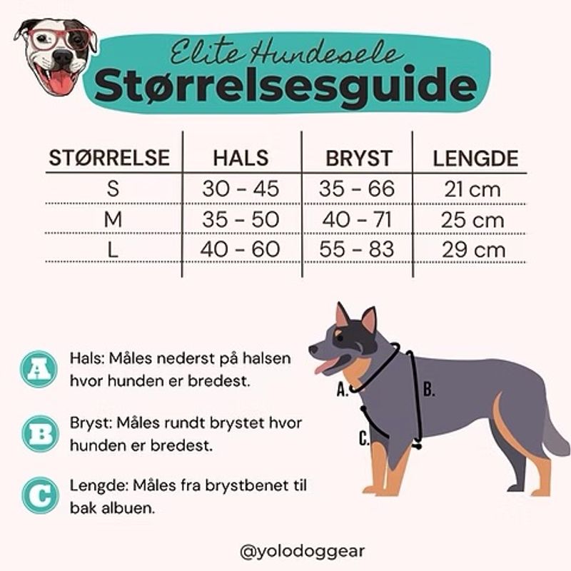 ELITE HUNDESELE - BLÅ TARTAN